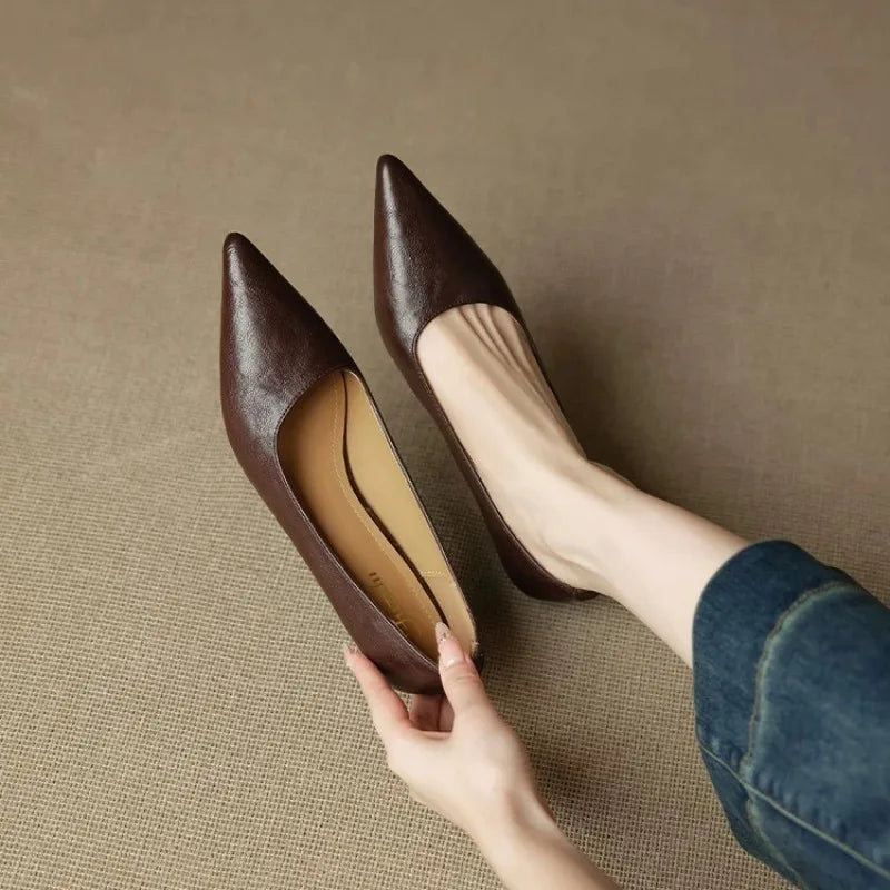 Pointed Toe Women Heeled Shoes Elegant Mary Janes Pumps Dress Lolita Fashion Shoes Autumn Woman Sandals 2025 Female Zapatillas